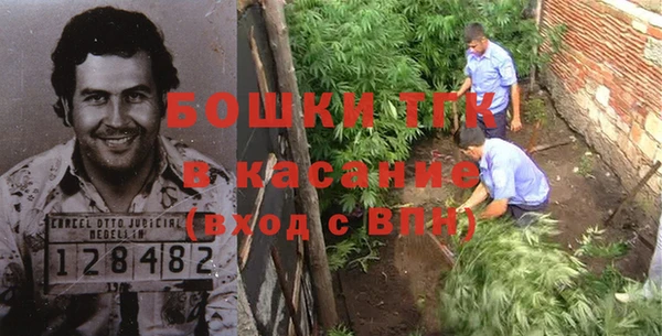 крисы Абаза