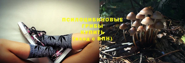 apvp Абинск