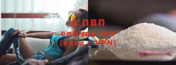 крисы Абаза