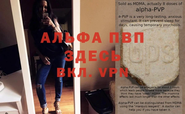 крисы Абаза